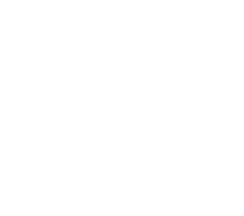 David Tomic logo